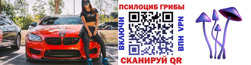 гидра зеркало  Славск  Галлюциногенные грибы Psilocybe 