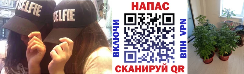 Марихуана конопля  закладки  Славск 